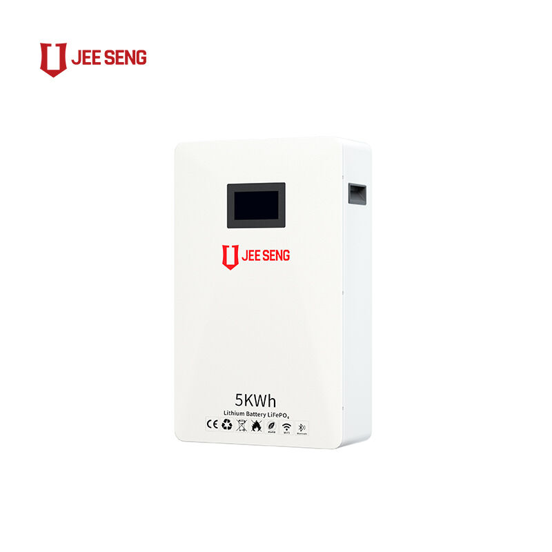 5KWh 家庭用壁に設置されたエネルギー貯蔵システム 太陽光発電システムのための先進BMS技術
