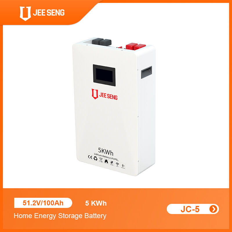 5KWh 家庭用壁に設置されたエネルギー貯蔵システム 太陽光発電システムのための先進BMS技術