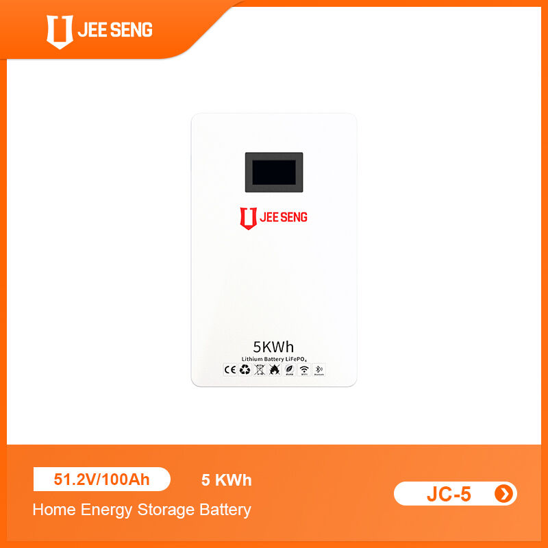 5KWh 家庭用壁に設置されたエネルギー貯蔵システム 太陽光発電システムのための先進BMS技術