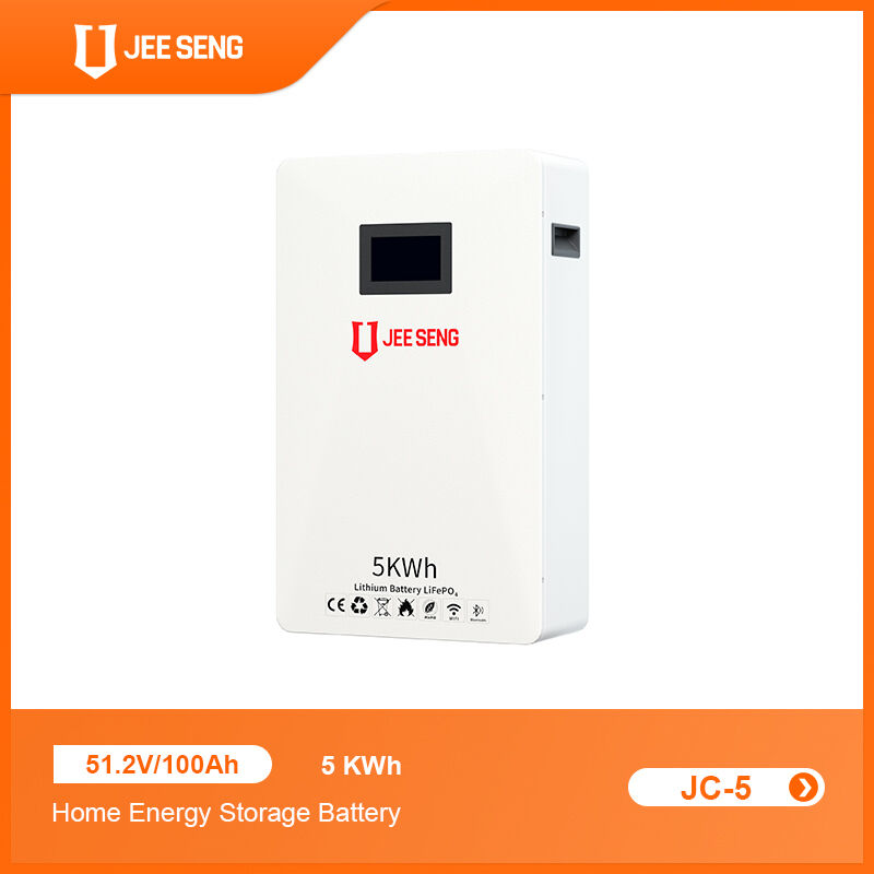 5KWh 家庭用壁に設置されたエネルギー貯蔵システム 太陽光発電システムのための先進BMS技術