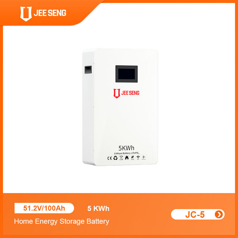 5KWh 家庭用壁に設置されたエネルギー貯蔵システム 太陽光発電システムのための先進BMS技術