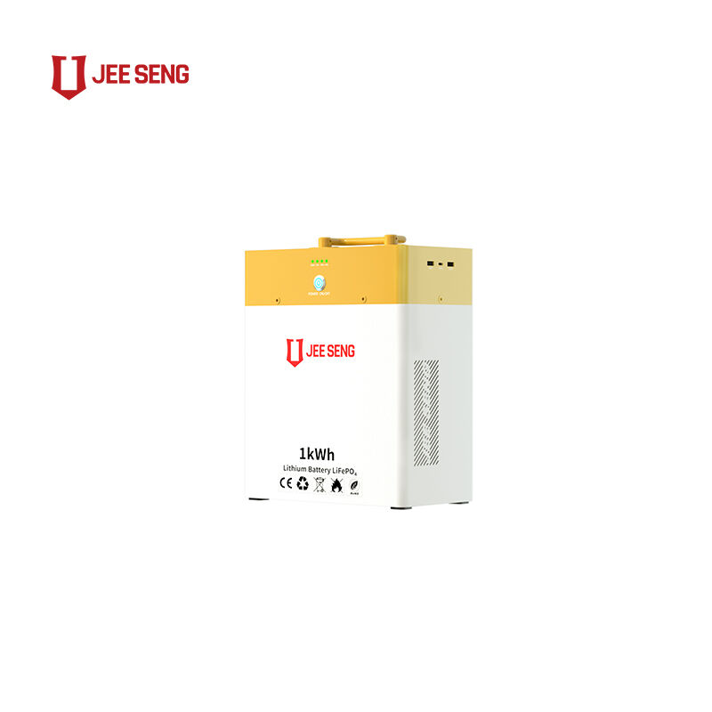 新しいデザイン 1KWH 携帯電源 エネルギー貯蔵 リチウム電池 大型電源バンク 使いやすい