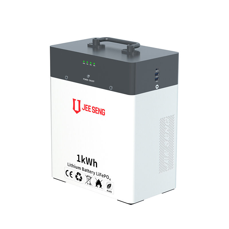 新しいデザイン 1KWH 携帯電源 エネルギー貯蔵 リチウム電池 大型電源バンク 使いやすい